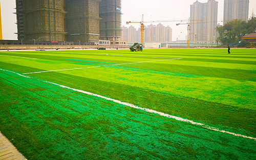 人造草足球场填充颗粒