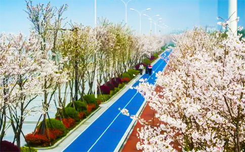 钱塘江塑胶跑道